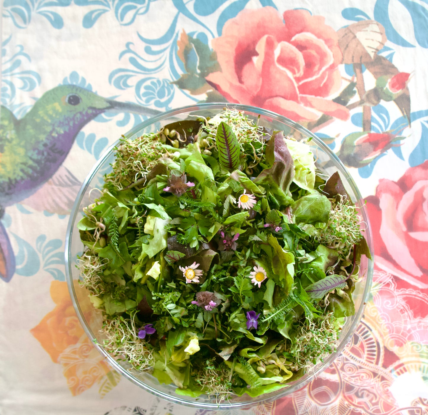 Taste of Love 🌸 Bio-Gourmet-Küche 🌱🥗 SURA ∞ SOLARIS